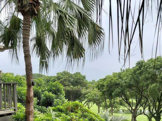 Palm lakes resort