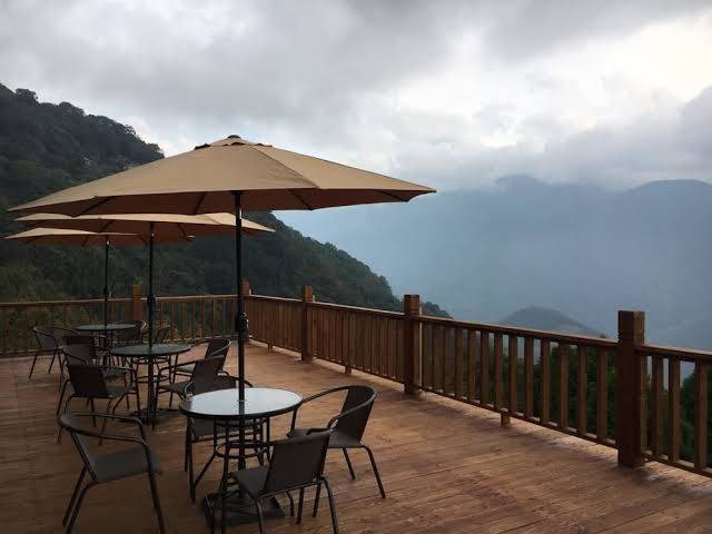 Monica Workshop Image