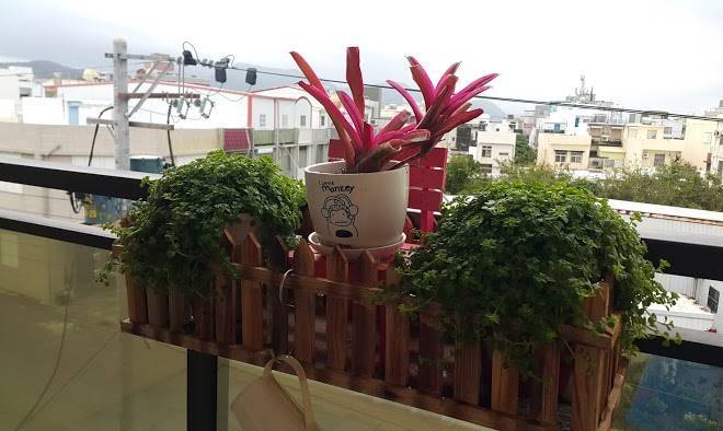 199sunnyday B&b Image