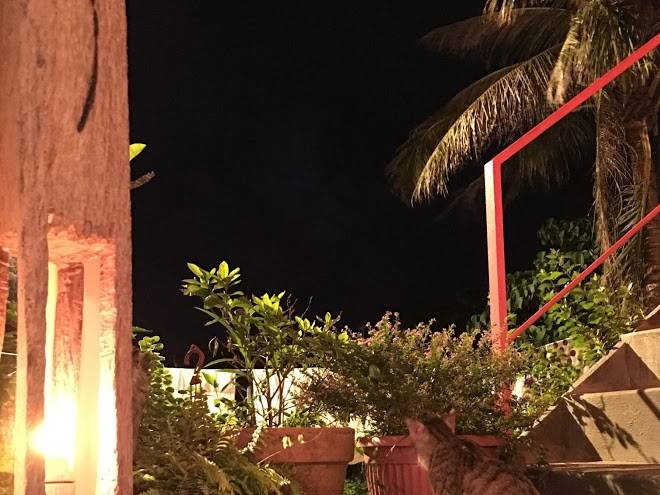 Sun Light Inn Hotel Image