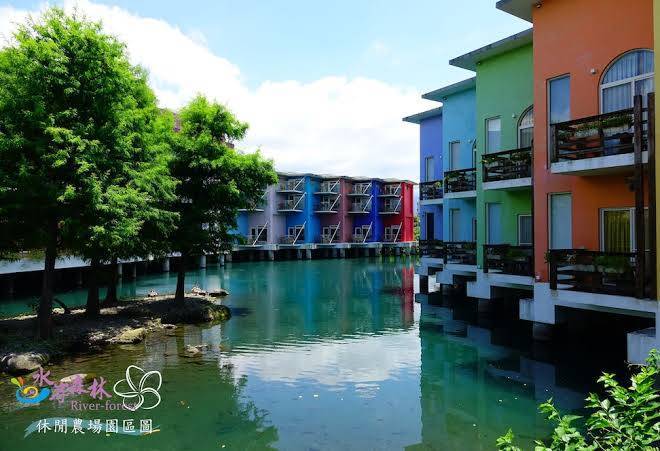 Waterfront Hall Forest Image