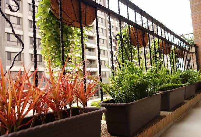 Douzi hotel xpark