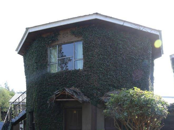 Dan stam hotel