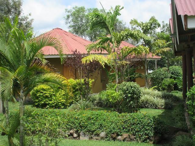 Kilimanjaro eco lodge