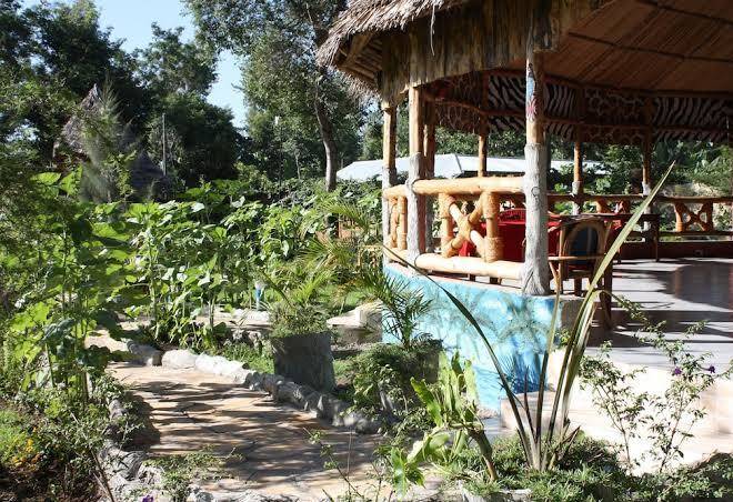 Vijiji center lodge and safari