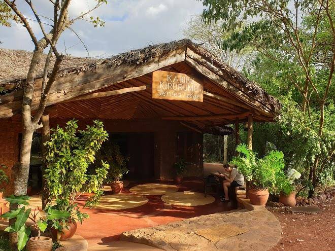 Kirurumu manyara lodge