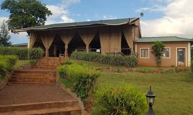 Pembeni Rhotia Image