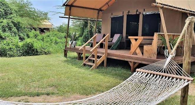 Africa Safari Glamping Image