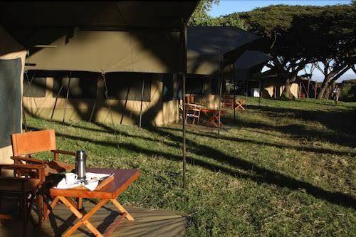 Lemala ngorongoro