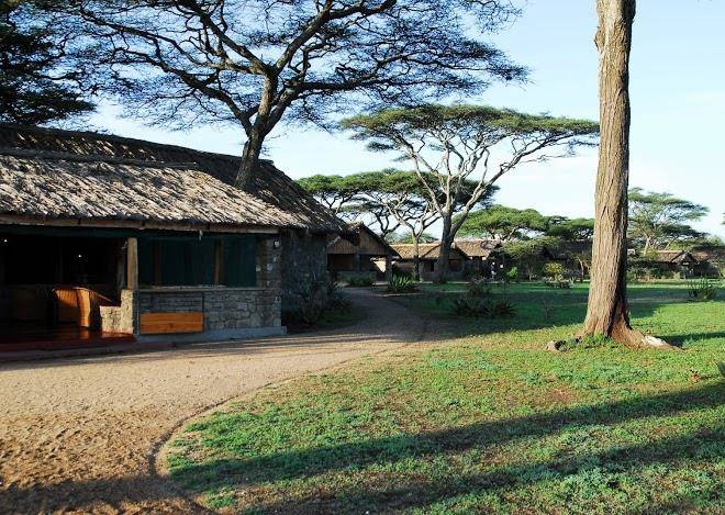Ndutu safari lodge