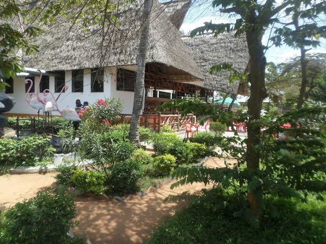 Flamingo garden inn