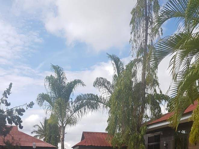 Golden coins hotel