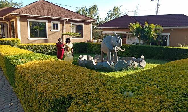 Gentle hills hotel