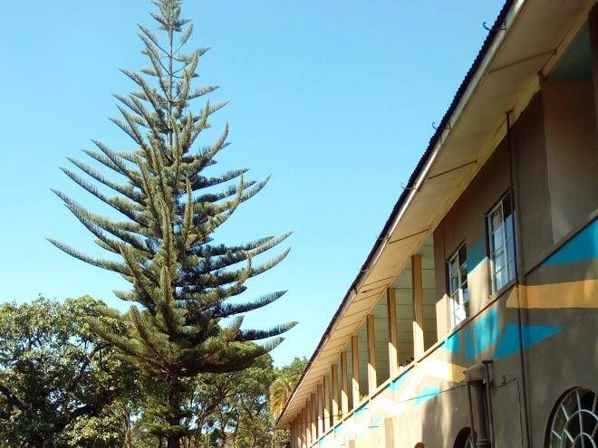 Kibo hotel