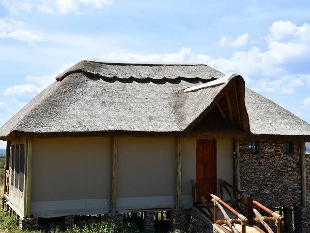 Serengeti serena safari lodge