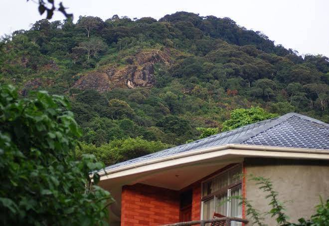Udzungwa falls lodge
