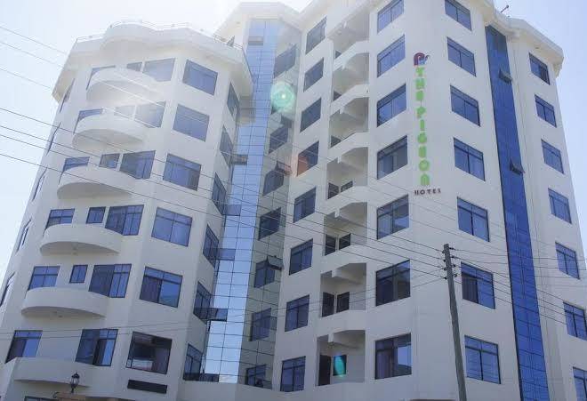 The pigeon hotel