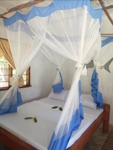 Mangrove beach bungalows