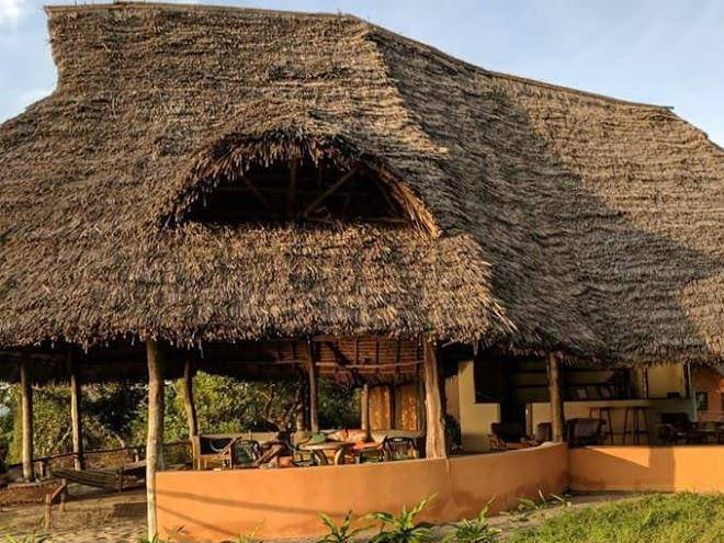 Whale shark lodge b&b kilindoni