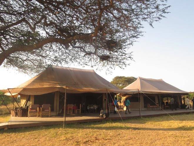 Asanja africa