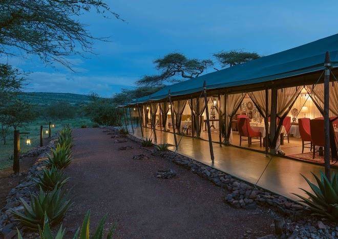Ole serai luxury camps moru kopjes