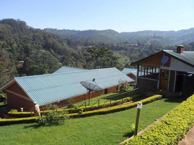 Avocado lodge