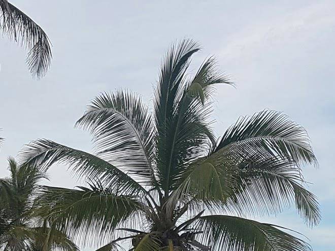 Echo Beach Hotel Image