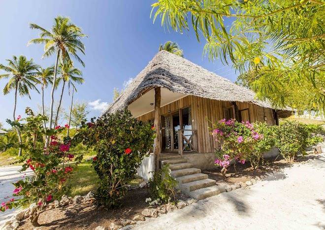 Hotel on the rock zanzibar