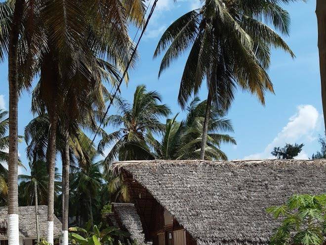Your zanzibar place