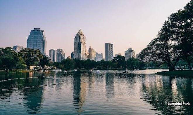 Zleepmotion bangkok