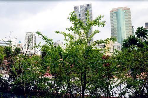 Klass silom condo