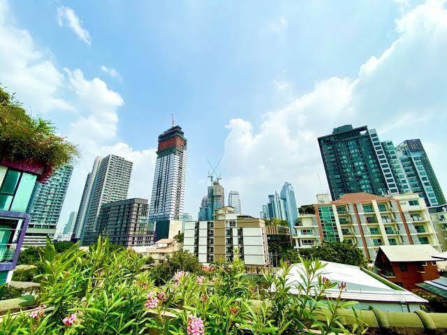 Nt place 36