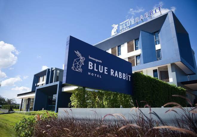 Blue rabbit hotel