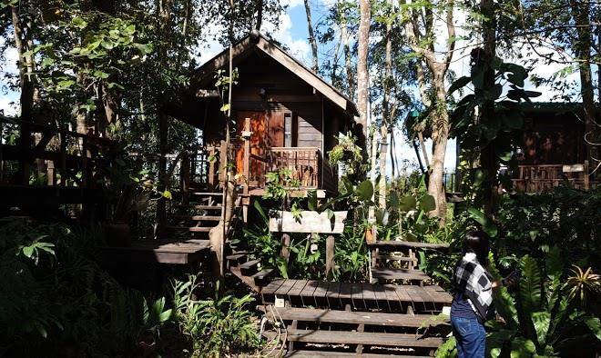 Oh tree resort