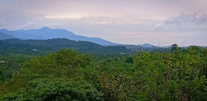 Phureeya ville