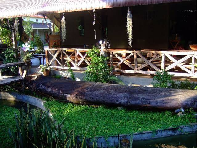 Honey home resort