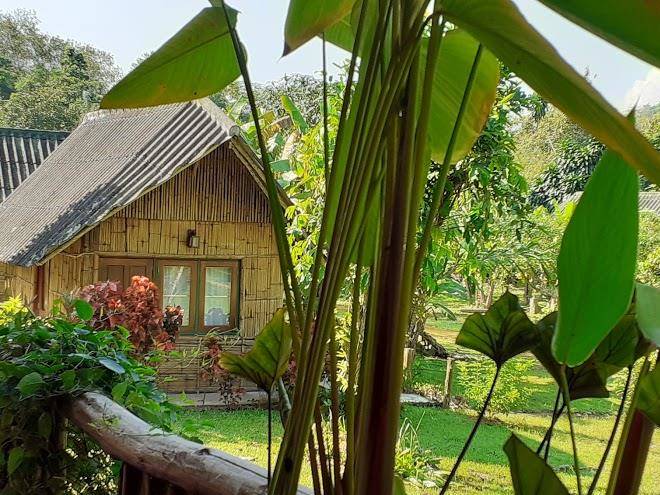 Chiang dao nest 2