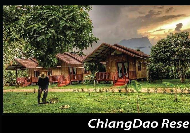 Chiang dao reset