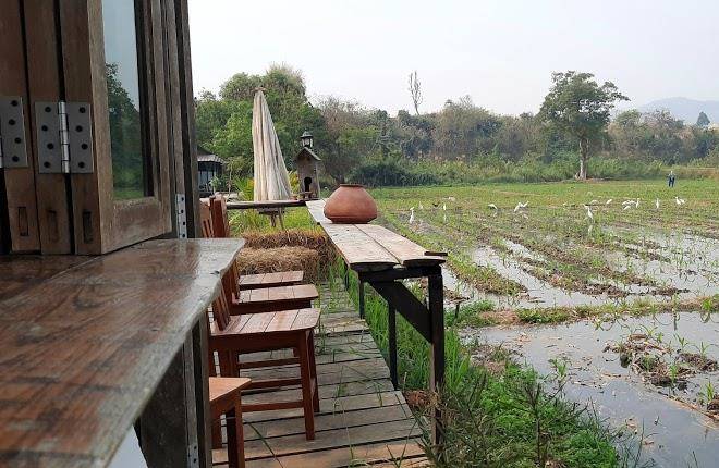 Chill chiangdao