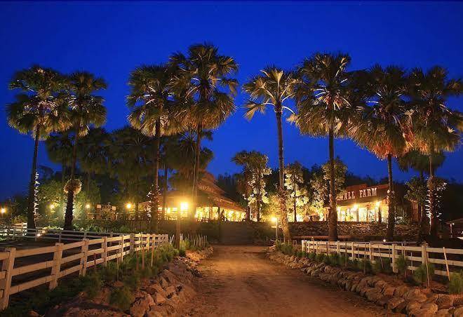 Smallfarm chiangmai