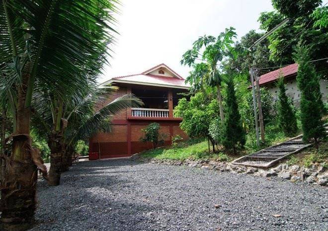 Baan view doi