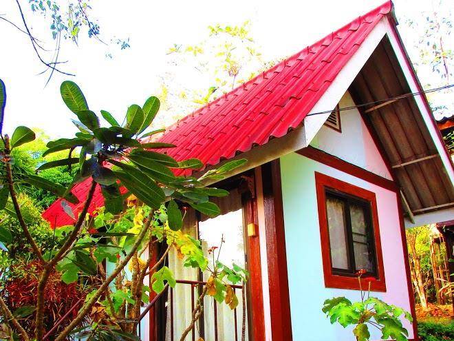 One nature mae rim