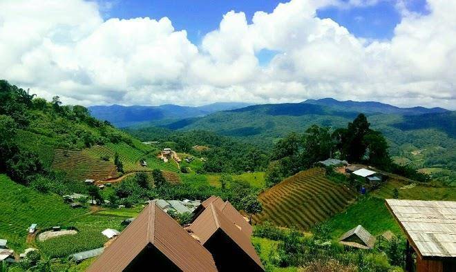 Phu fa sai homestay