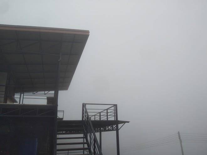 Rabiang Roy Dao Image