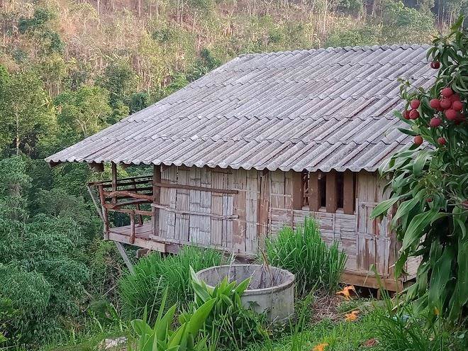 Mon pha mok
