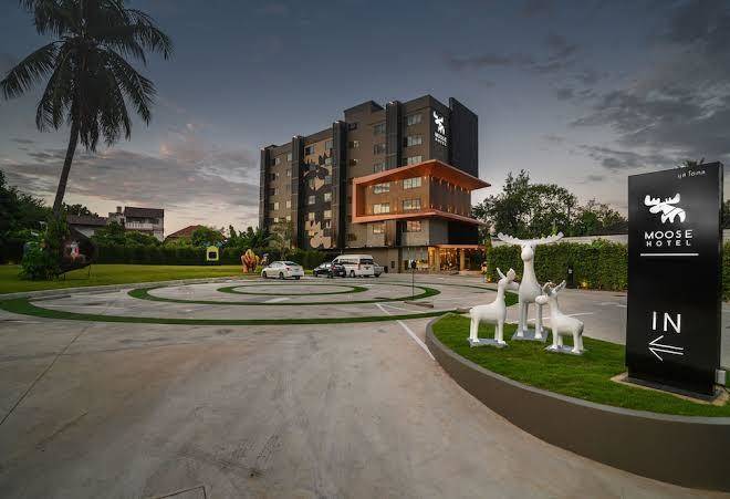 Moose hotel chiangmai