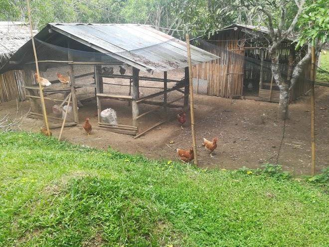 Akara keree resort