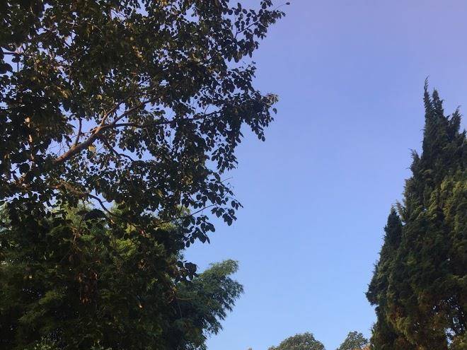 Samoeng resort