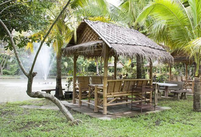 Rachaherb gardens resort