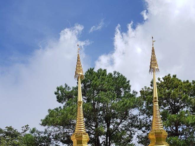 Bua thong resort